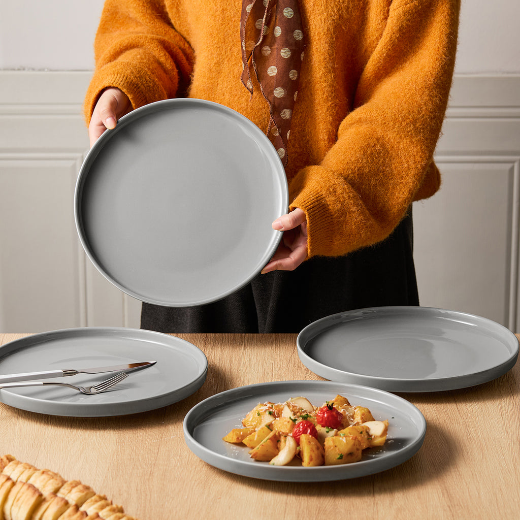 JIWOO-Beira, 4pcs, 10,5zoll 26,5cm Essteller, Mikrowellengeeignet und Spülmaschinengeeignet